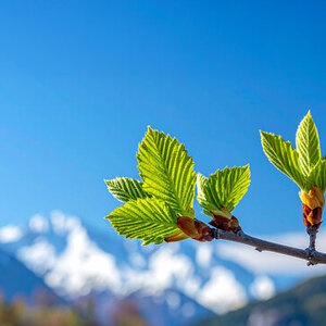 10歳で差がつく自己決定力