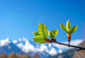 10歳で差がつく自己決定力